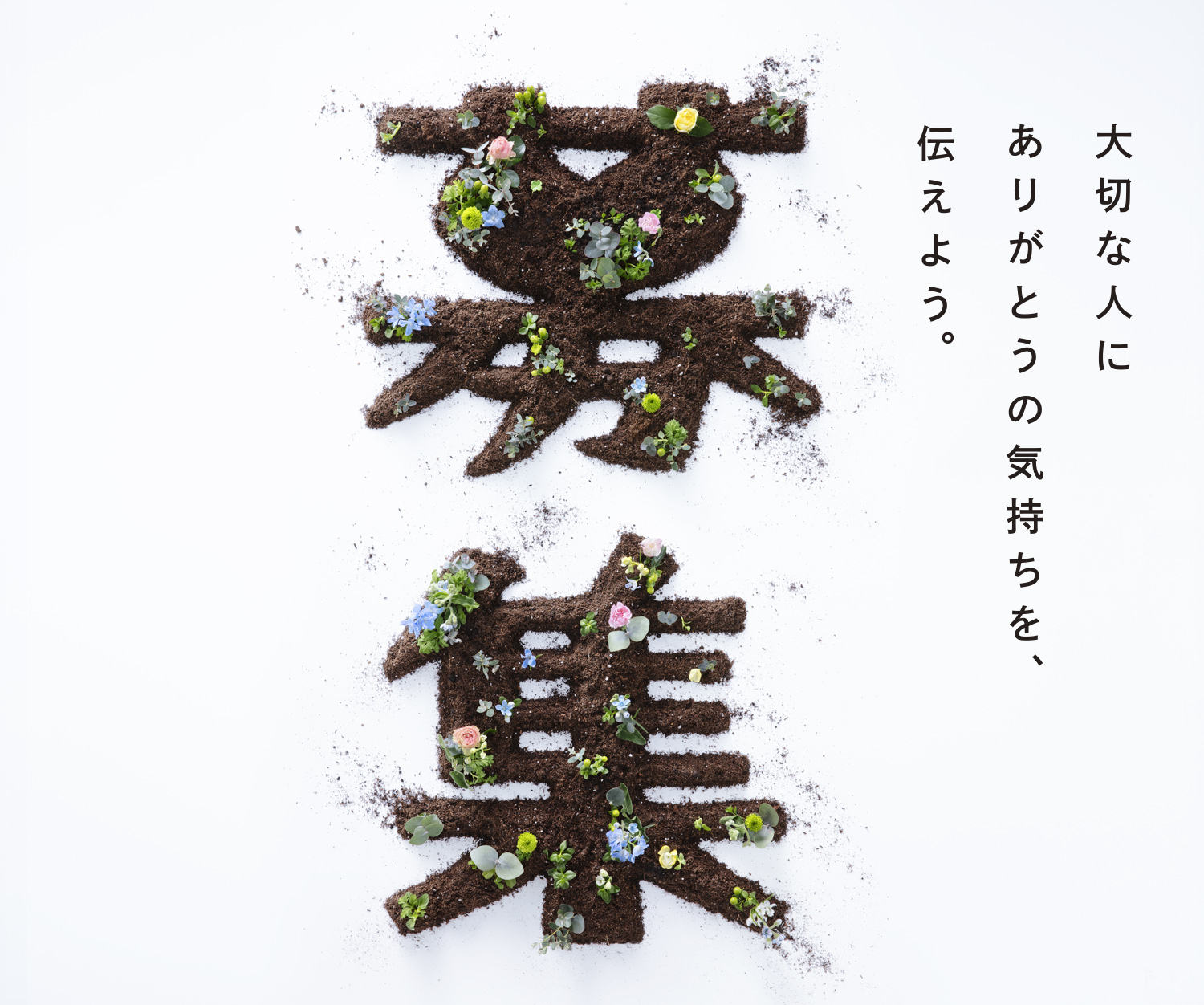 大切な人にありがとうの気持ちを、伝えよう。